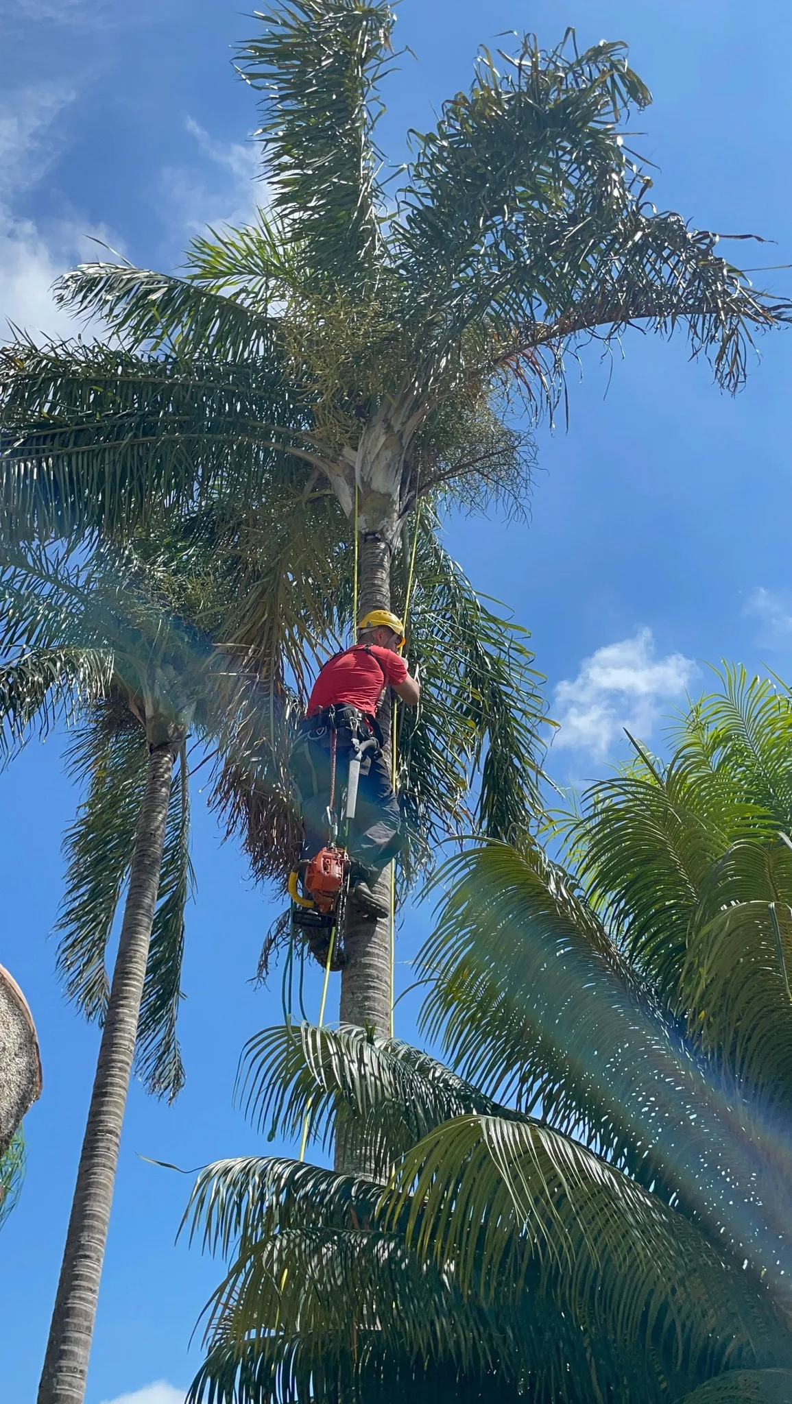 513396638_9991851197567655_2403865582290544692_n