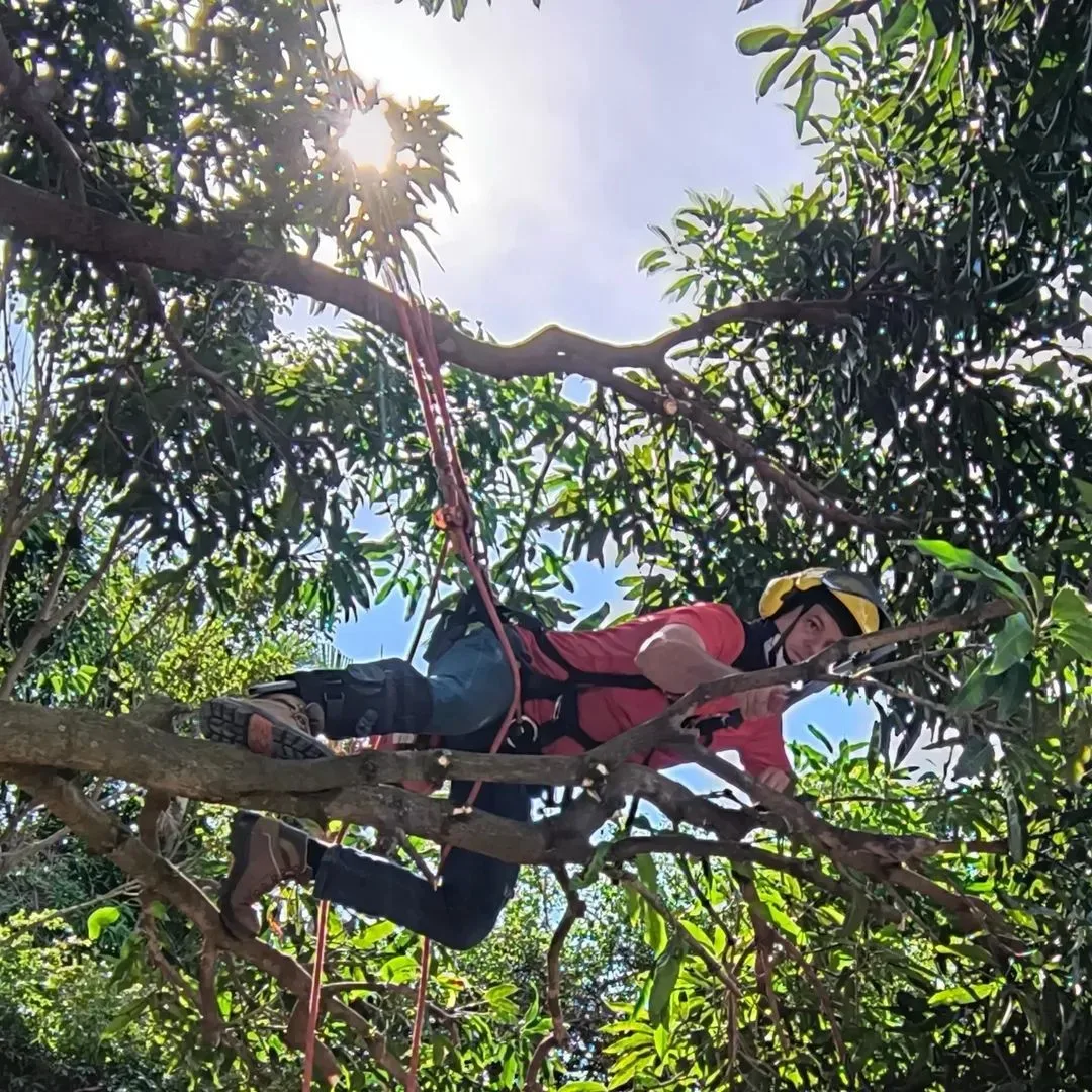 518526371_23896795379980002_4186088755074328464_n