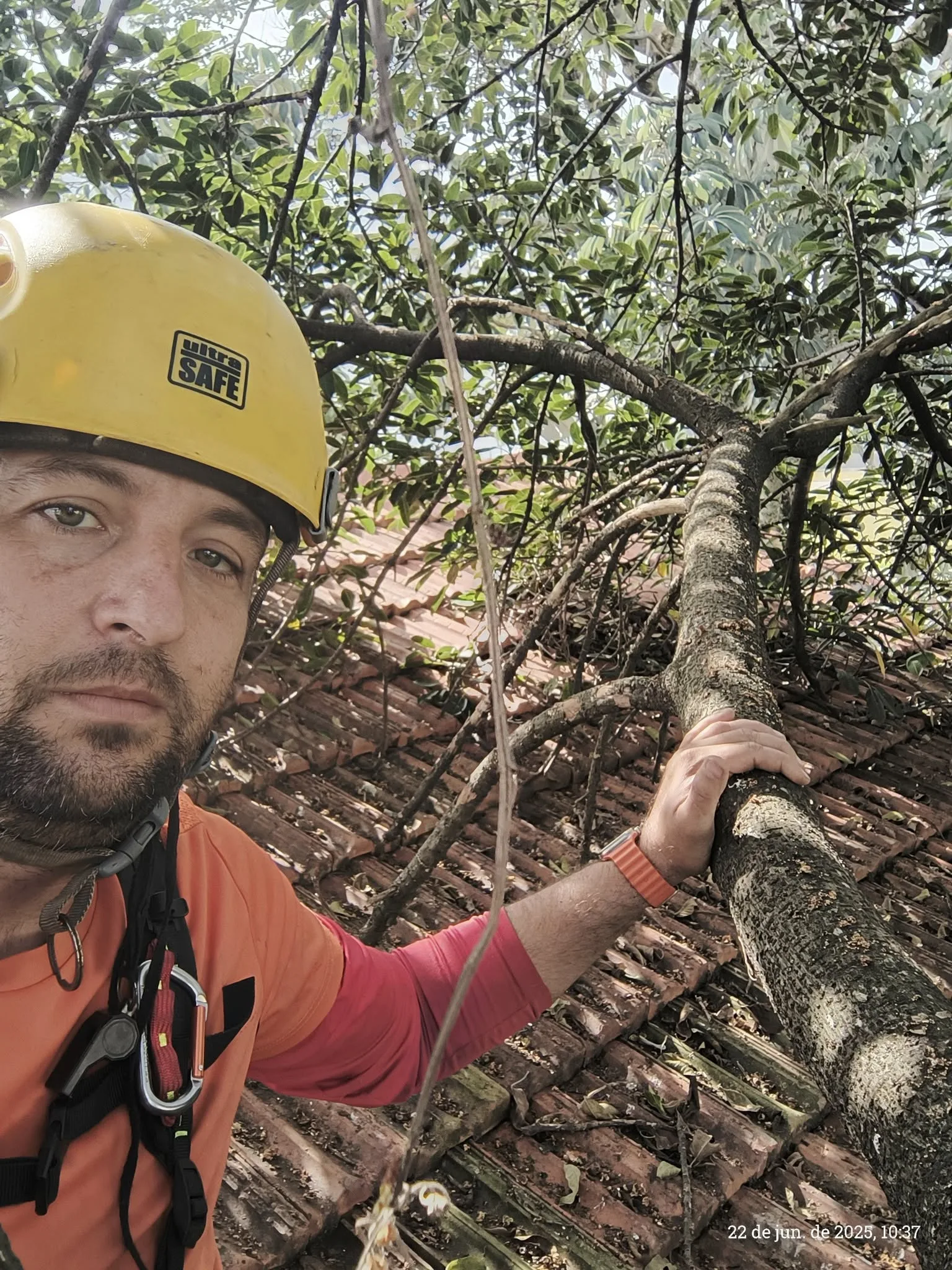 520629759_23933867582939448_6983969768532398443_n