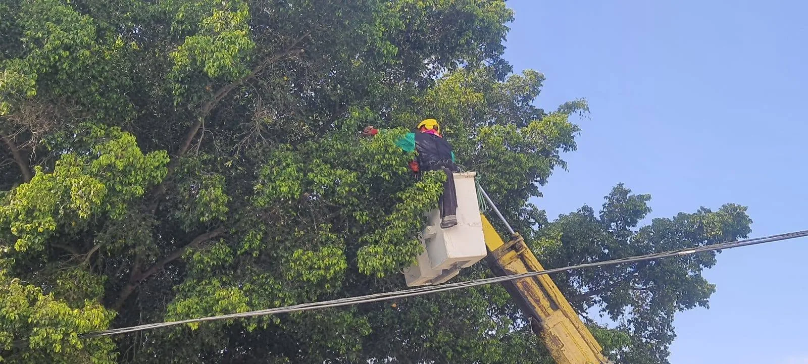 533723594_24143645441961660_3595480258046947772_n