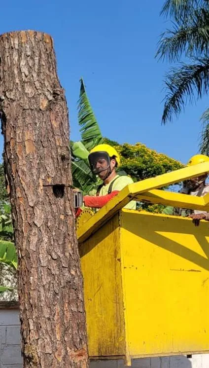 547641998_24398840859775449_1441185196410409274_n