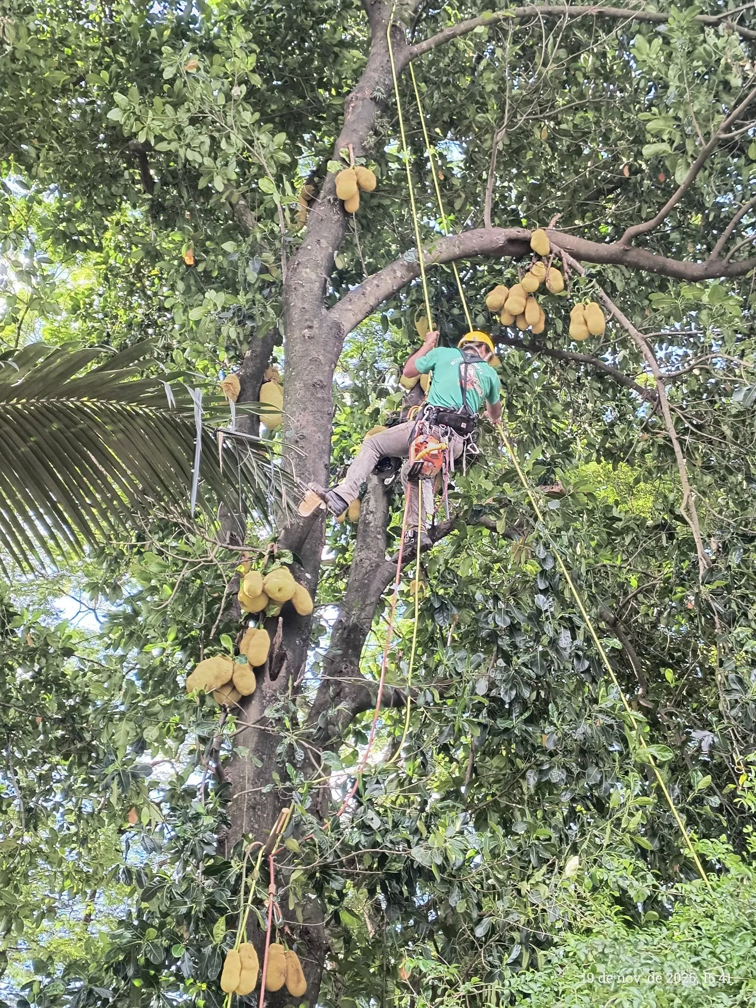 584630924_24996536560005873_4636275851693338844_n