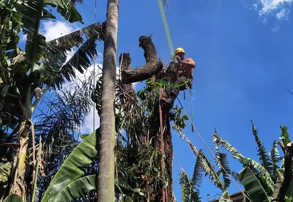 596295813_25133589849633876_26376335648460380_n